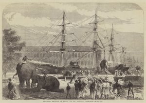 Embarking Elephants at Bombay for the Abyssinian Expedition by Sir John Charles Robinson